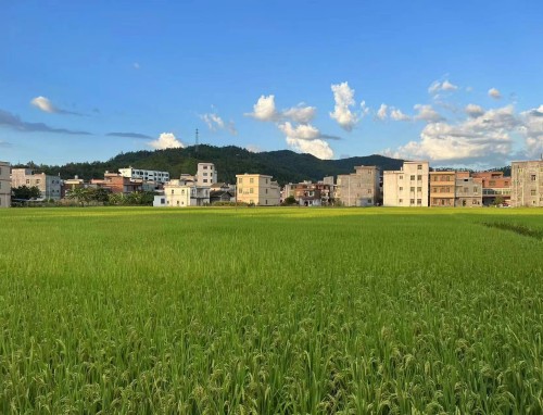 海底VS新西兰直播_海底VS新西兰直播观看免费_海底VS新西兰 海底VS新西兰直播_海底VS新西兰直播观看免费_海底VS新西兰